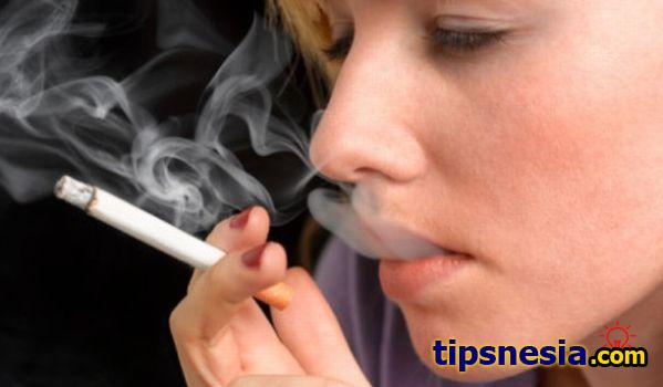 essays for smoking Here you can find useful tips in writing a teen smoking essay you can also download a free sample or look through a free teen smoking essay sample. essays for smoking Here you can find useful tips in writing a teen smoking essay you can also download a free sample or look through a free teen smoking essay sample.
