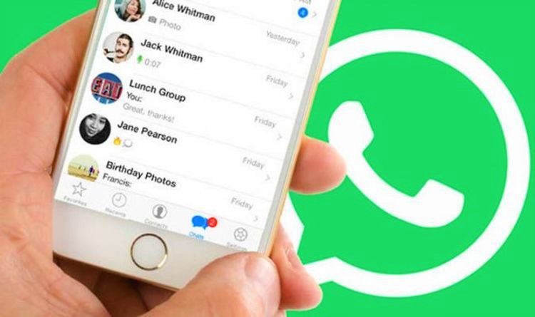 agar terlihat offline di WhatsApp