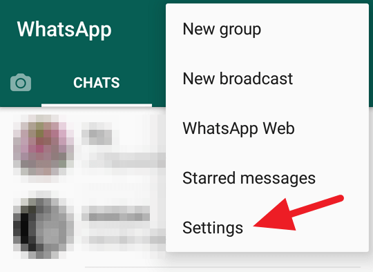 agar terlihat offline di WhatsApp