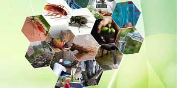 kesehatan lingkungan