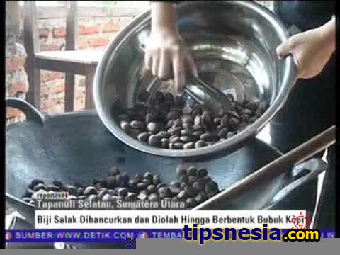 kopi biji salak